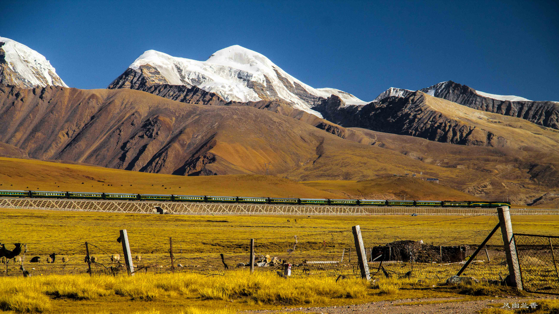 Tibet Bahn, Lhasa Bahn, Tibetbahn, Tibet Eisenbahn, Lhasa